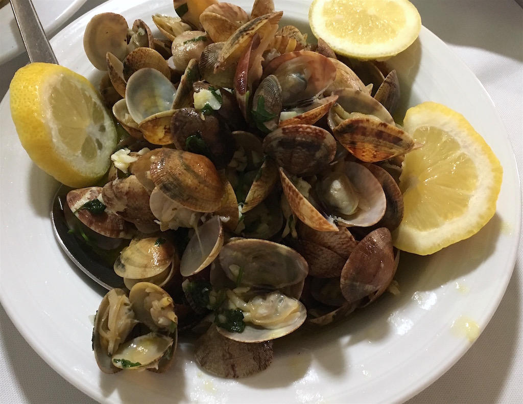 clams from Algarve Portugal
